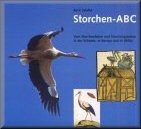 Storchen ABC