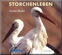 Storchenleben