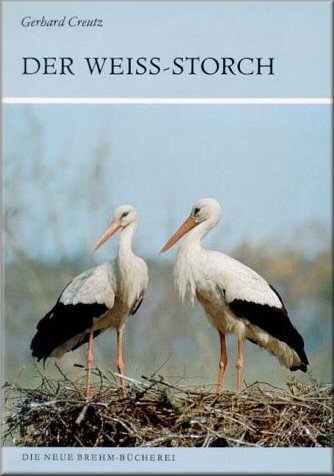 Der Weiß-Storch